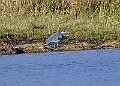 2025-12-11PENSDECB00238A