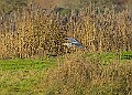 2025-12-11PENSDECB00247A