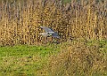 2025-12-11PENSDECB00248A