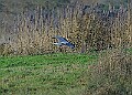 2025-12-11PENSDECB00249A