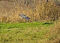 2025-12-11PENSDECB00250A