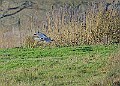2025-12-11PENSDECB00251A