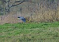 2025-12-11PENSDECB00252A
