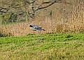 2025-12-11PENSDECB00253A