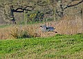2025-12-11PENSDECB00254A