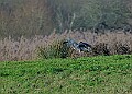 2025-12-11PENSDECB00268A