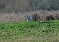 2025-12-11PENSDECB00270A