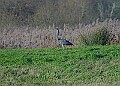 2025-12-11PENSDECB00272A