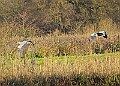 2025-12-11PENSDECB00282A