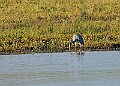 2025-12-11PENSDECB00285A