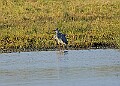 2025-12-11PENSDECB00287A