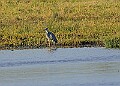 2025-12-11PENSDECB00292A