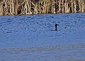 2025-12-11PENSDECB00293A