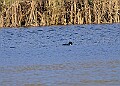 2025-12-11PENSDECB00294A