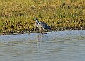 2025-12-11PENSDECB00296A