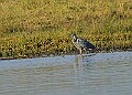 2025-12-11PENSDECB00297A