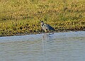2025-12-11PENSDECB00298A
