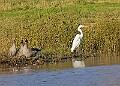 2025-12-11PENSDECB00310A
