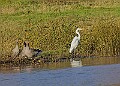 2025-12-11PENSDECB00311A