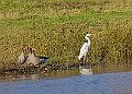 2025-12-11PENSDECB00318A