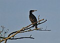 2025-12-11PENSDECB00366A