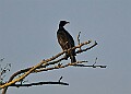 2025-12-11PENSDECB00372A