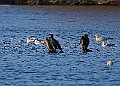 2025-12-11PENSDECB00387A