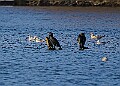 2025-12-11PENSDECB00388A