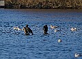 2025-12-11PENSDECB00389A