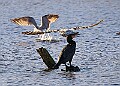 2025-12-11PENSDECB00390A