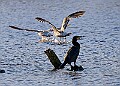 2025-12-11PENSDECB00391A