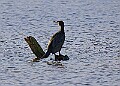 2025-12-11PENSDECB00397A