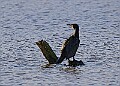 2025-12-11PENSDECB00398A