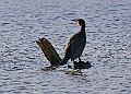 2025-12-11PENSDECB00399A