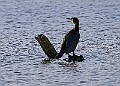 2025-12-11PENSDECB00400A