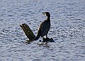 2025-12-11PENSDECB00401A