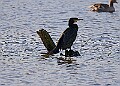 2025-12-11PENSDECB00403A