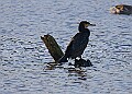 2025-12-11PENSDECB00405A