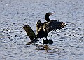 2025-12-11PENSDECB00407A