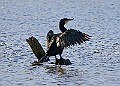 2025-12-11PENSDECB00408A