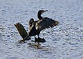 2025-12-11PENSDECB00409A