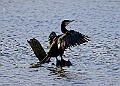 2025-12-11PENSDECB00413A