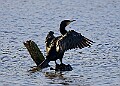 2025-12-11PENSDECB00414A