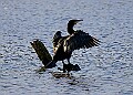 2025-12-11PENSDECB00415A