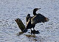 2025-12-11PENSDECB00416A