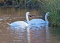 2025-12-11PENSDECB00417A