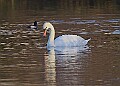 2025-12-11PENSDECB00423A
