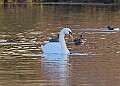 2025-12-11PENSDECB00429A
