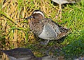 2025-12-11PENSDECB00434A