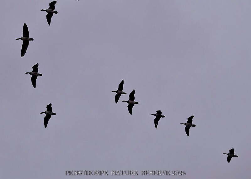 20260226 PENSFEB00301A.JPG